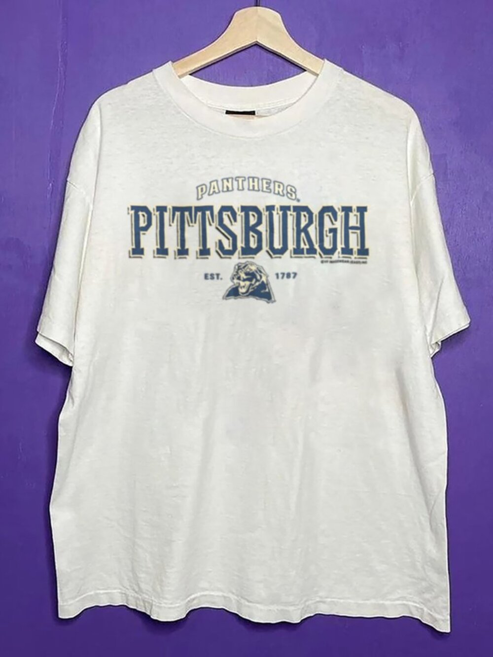 Vintage University of Pittsburgh Panthers Shirt, Pittsburgh Panthers Shirt Tee
